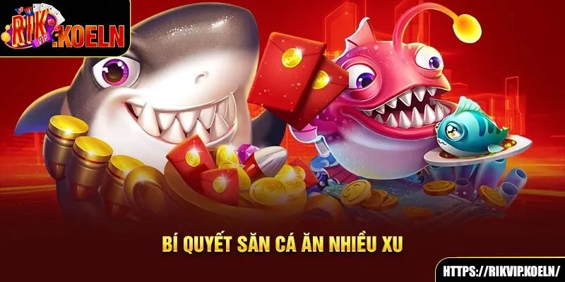 Bí quyết săn cá ăn nhiều xu