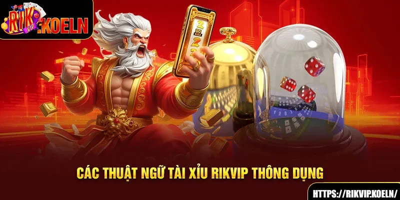 Các thuật ngữ tài xỉu Rikvip thông dụng