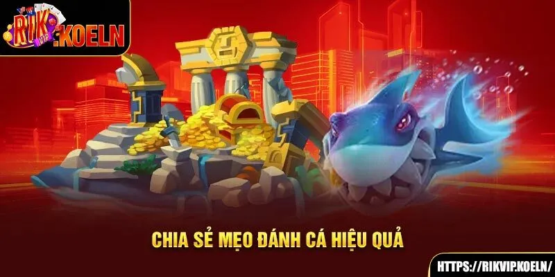 Chia sẻ mẹo đánh cá hiệu quả