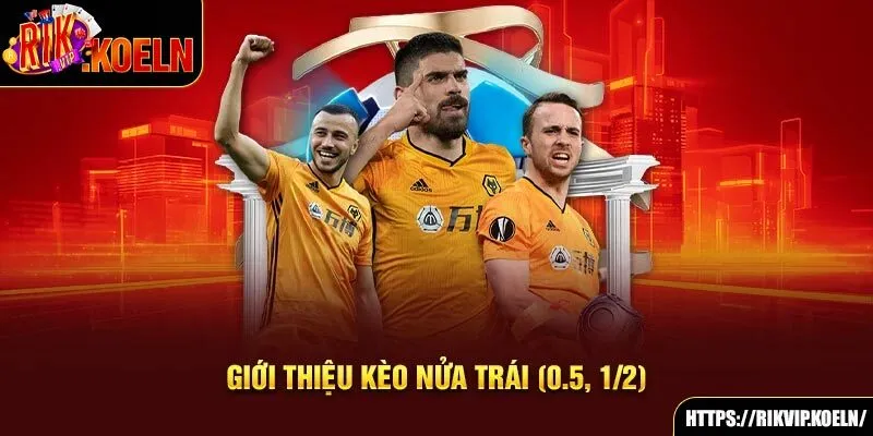 Giới thiệu kèo nửa trái (0.5 - 1/2)