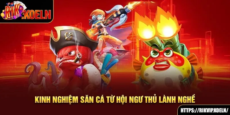 Kinh nghiệm săn cá từ hội ngư thủ lành nghề