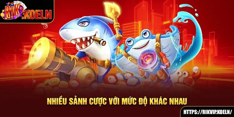 Nhiều sảnh cược với mức độ khác nhau